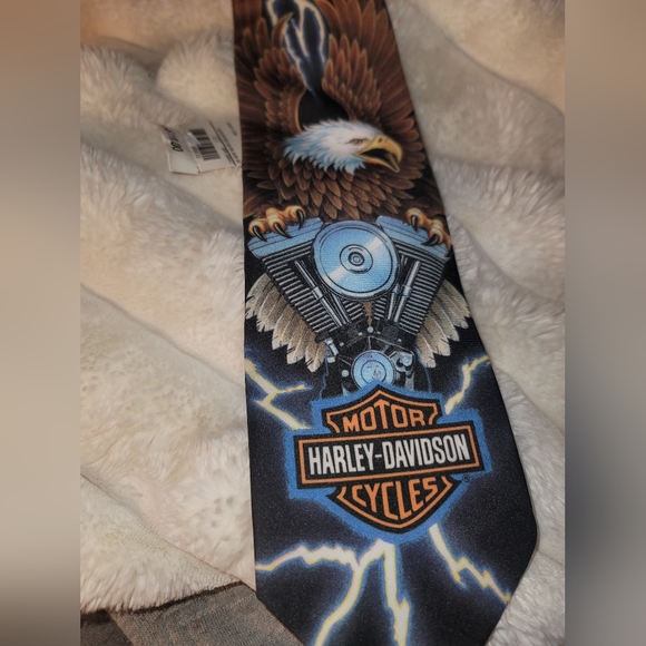 Harley-Davidson Other - Vintage Harley-Davidson Eagle Lightening Graphic Tie